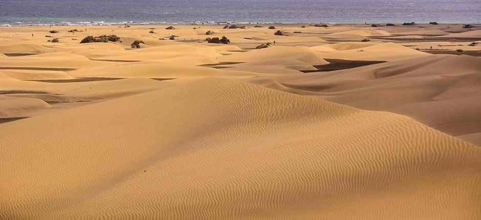 Relax Bungalow With Parking Villa Maspalomas  Bagian luar foto